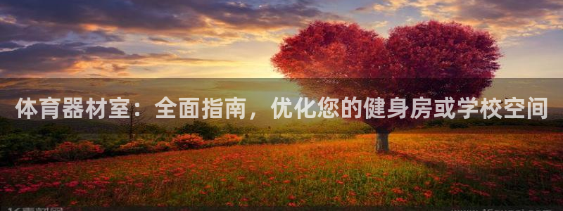 耀世集团商业联盟怎么样：体育器材室：全面指南，优化您
