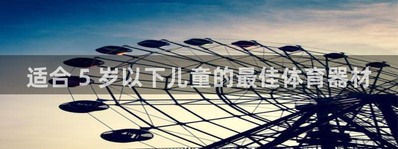 耀世平台的运营模式：适合 5 岁以下儿童的最佳体育器