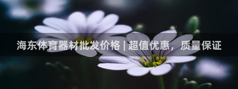 耀世平台代理多少钱一个月：海东体育器材批发价格 | 