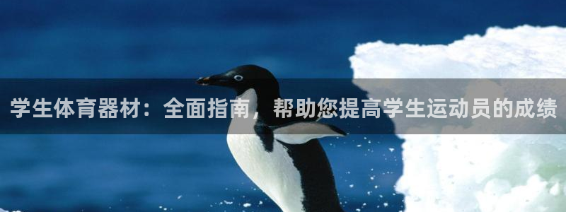 耀世盛典手游下载官网：学生体育器材：全面指南，帮助您