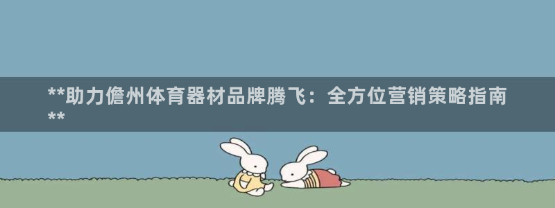耀世登场什么意思：**助力儋州体育器材品牌腾飞：全方