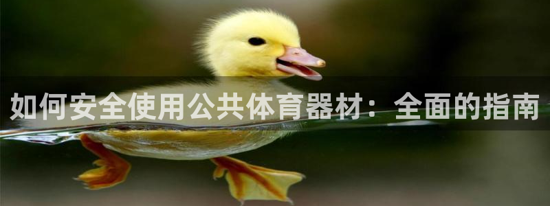 耀世意思：如何安全使用公共体育器材：全面的指南