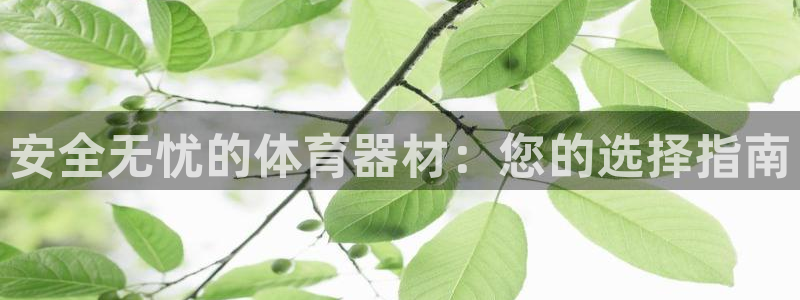 耀世集团是什么电影院：安全无忧的体育器材：您的选择指