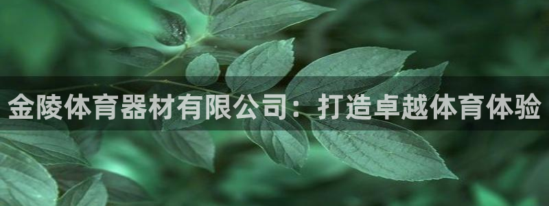 耀世平台关7O777：金陵体育器材有限公司：打造卓越