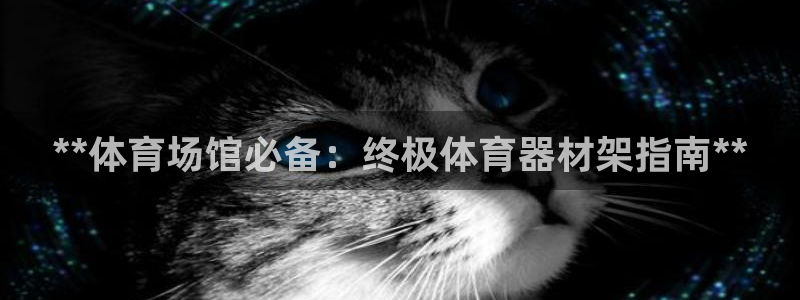 耀世平台理 411o31 平台：**体育场馆必备：终