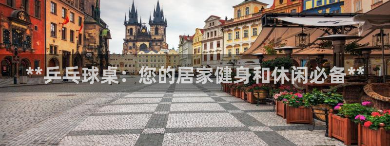 耀世娱乐平台官网登录入口网址：**乒乓球桌：您的居家