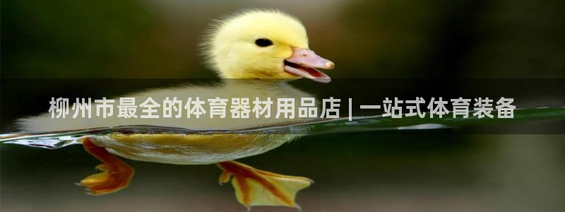 耀世平台开户流程是什么：柳州市最全的体育器材用品店 