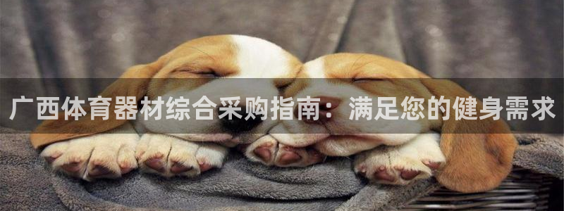 耀世平台心 58534I 耀世：广西体育器材综合采购