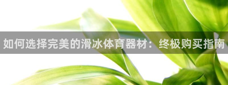 耀世娱乐是什么：如何选择完美的滑冰体育器材：终极购买