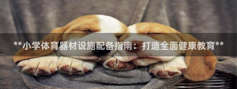 耀世娱乐出款快吗知乎：**小学体育器材设施配备指南：