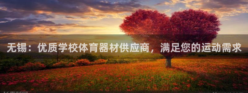 耀世娱乐老板叫什么：无锡：优质学校体育器材供应商，满