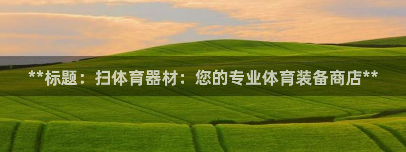 耀世娱乐提款多久到账：**标题：扫体育器材：您的专业