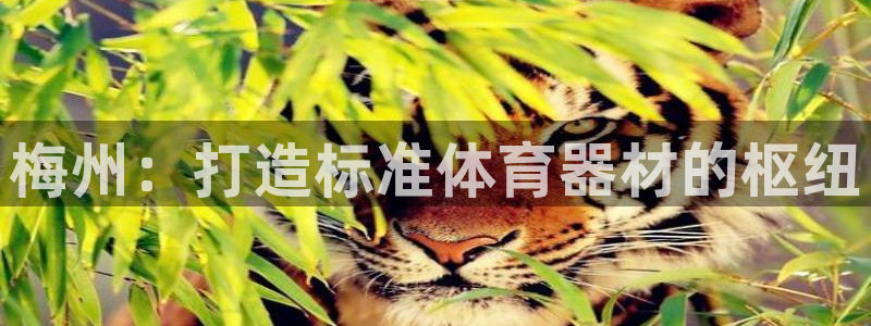 耀世天下的微信名字好吗：梅州：打造标准体育器材的枢纽