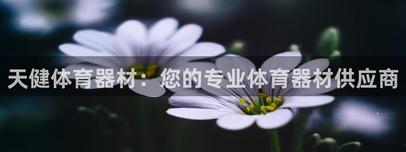 耀世平台注册登录不上：天健体育器材：您的专业体育器材