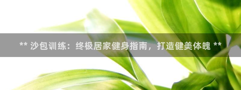 耀世娱乐在线登录官网入口网址：** 沙包训练：终极居