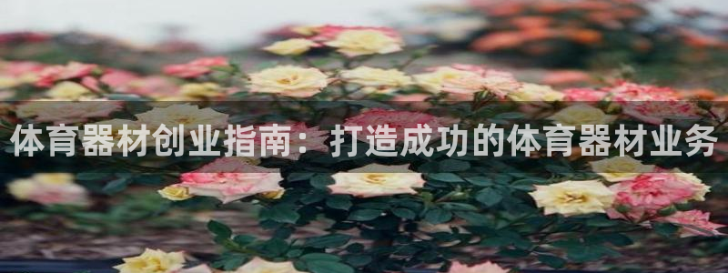 耀世娱乐注册入口官网：体育器材创业指南：打造成功的体