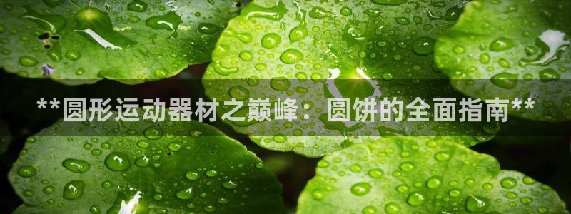耀世平台注册网址是多少号：**圆形运动器材之巅峰：圆