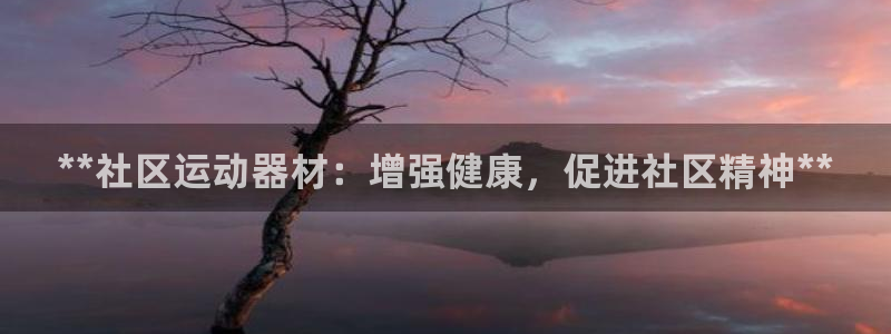 耀世令有什么用：**社区运动器材：增强健康，促进社区