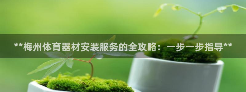 耀世娱乐招商注册 知乎：**梅州体育器材安装服务的全