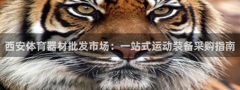 耀世娱乐好不好：西安体育器材批发市场：一站式运动装备