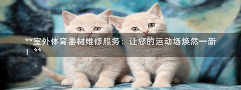耀世登场后面一句：**室外体育器材维修服务：让您的运