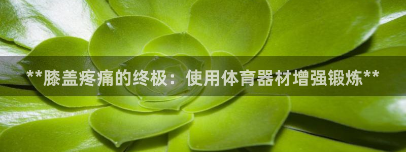 耀世平台精选 58534I 耀世：**膝盖疼痛的终极