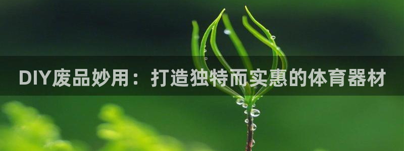 耀世娱乐app下载安装最新版：DIY废品妙用：打造独