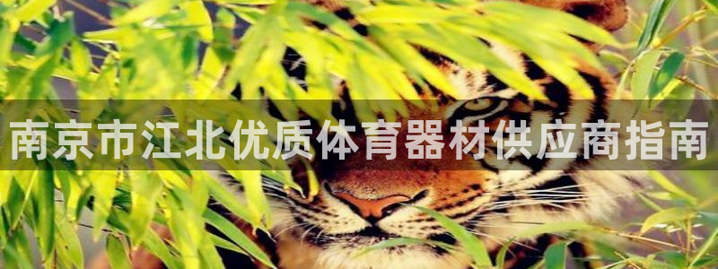 耀世娱乐挂机软件：南京市江北优质体育器材供应商指南
