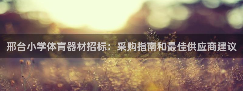 耀世集团七天三彩：邢台小学体育器材招标：采购指南和最