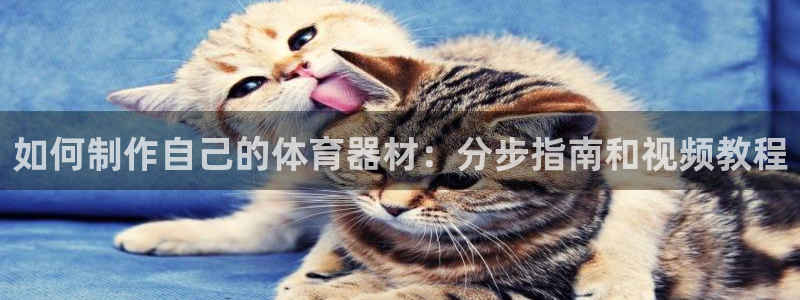 耀世开启什么意思：如何制作自己的体育器材：分步指南和