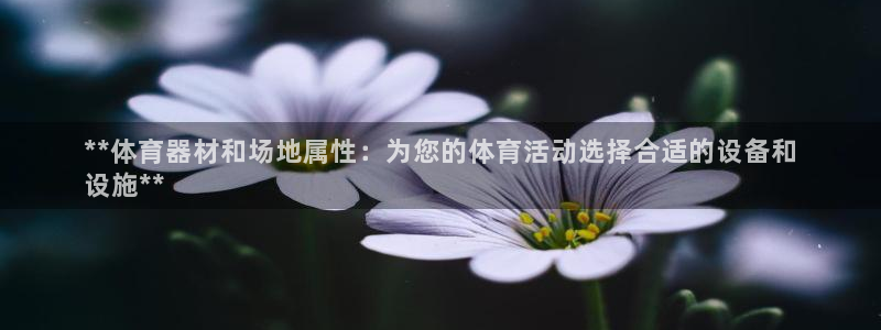 耀世平台代理注册登录失败：**体育器材和场地属性：为