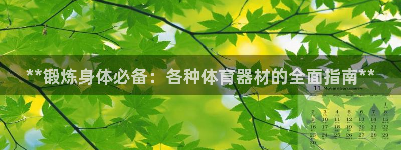 耀世开业是什么意思：**锻炼身体必备：各种体育器材的