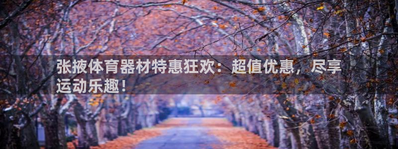 耀世第三关怎么过：张掖体育器材特惠狂欢：超值优惠，尽