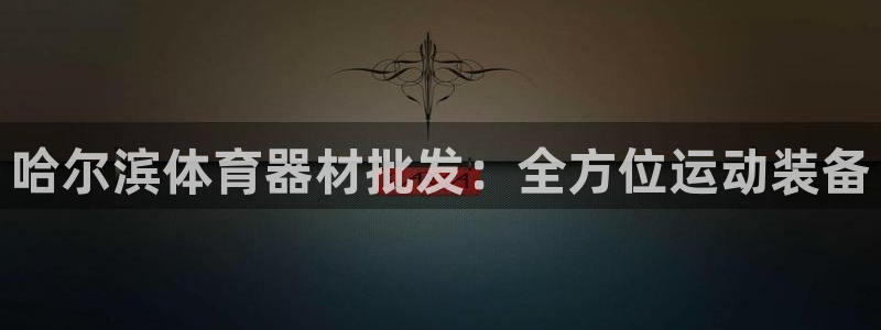 耀世娱乐如何登录平台账户：哈尔滨体育器材批发：全方位
