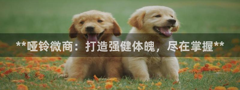 耀世集团是干嘛的企业啊：**哑铃微商：打造强健体魄，