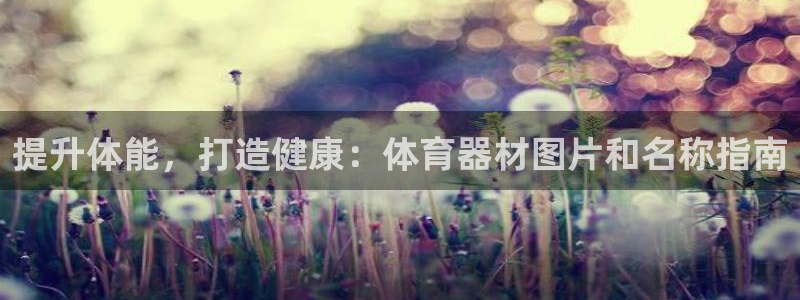 耀世娱乐怎么注册不了：提升体能，打造健康：体育器材图