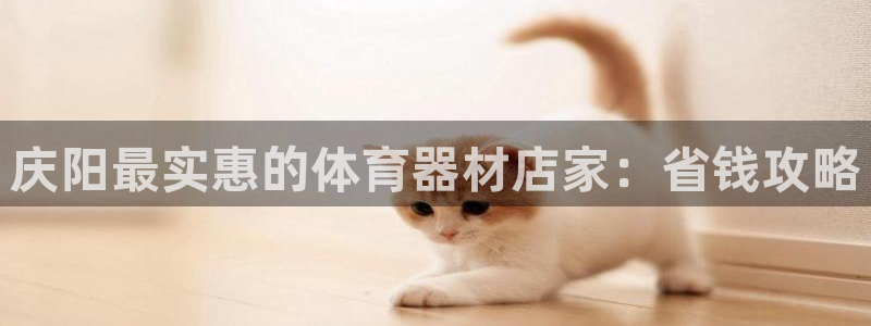 耀世的意思：庆阳最实惠的体育器材店家：省钱攻略