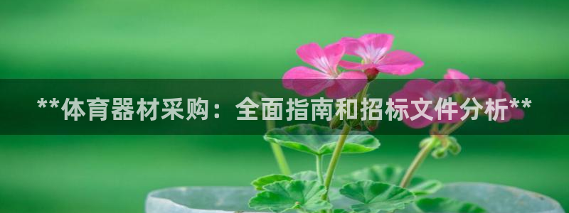 耀世平台注册流程图：**体育器材采购：全面指南和招标
