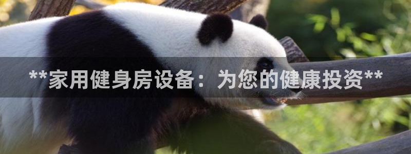 耀世平台代理多少钱一个：**家用健身房设备：为您的健