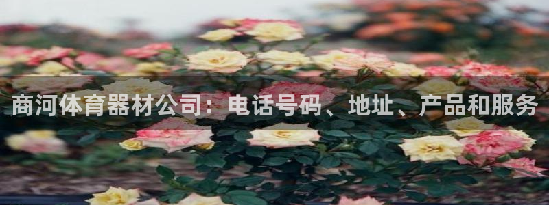 耀世幻主：商河体育器材公司：电话号码、地址、产品和服