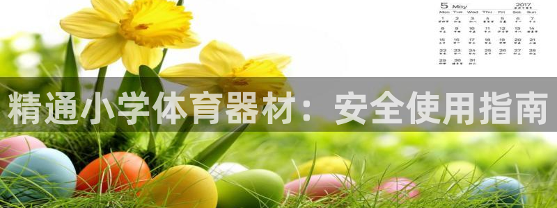 耀世娱乐平台官网登录不了了：精通小学体育器材：安全使