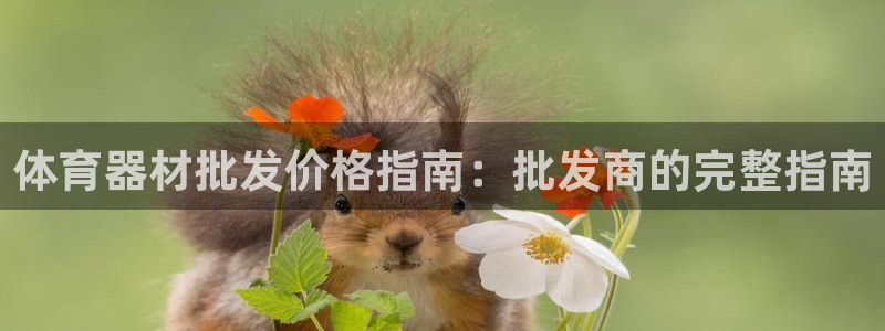 耀世娱乐出款快吗：体育器材批发价格指南：批发商的完整