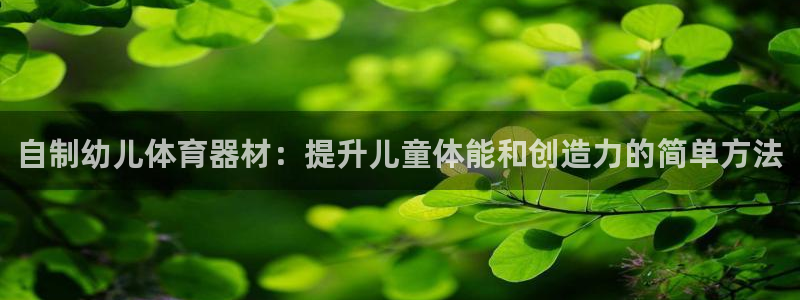 耀世娱乐老板叫什么：自制幼儿体育器材：提升儿童体能和