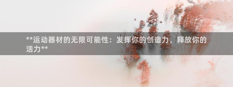 耀世集团做什么的：**运动器材的无限可能性：发挥你的