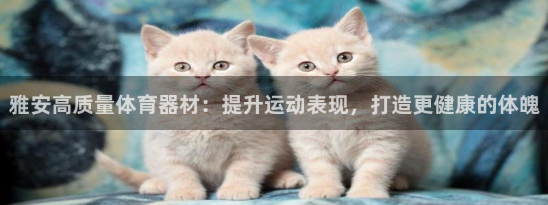 耀世娱乐注册：雅安高质量体育器材：提升运动表现，打造