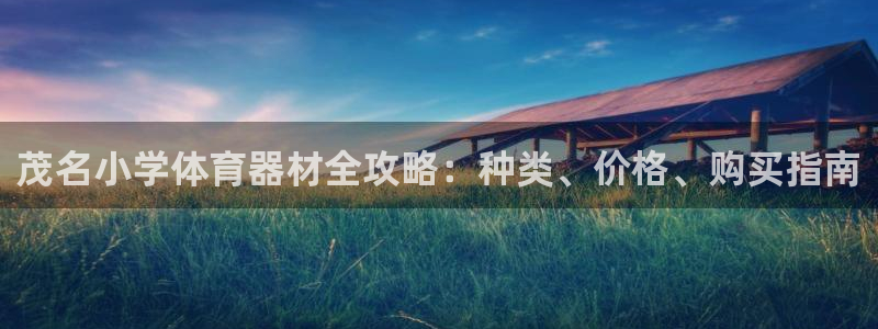 耀世平台注册开户需要什么：茂名小学体育器材全攻略：种