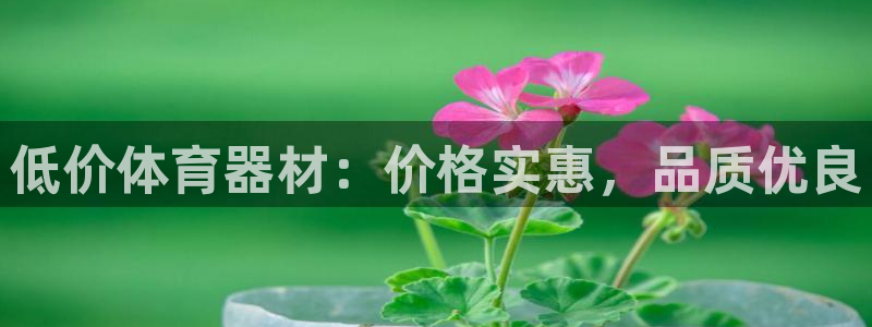 耀世娱乐骗局揭秘：低价体育器材：价格实惠，品质优良