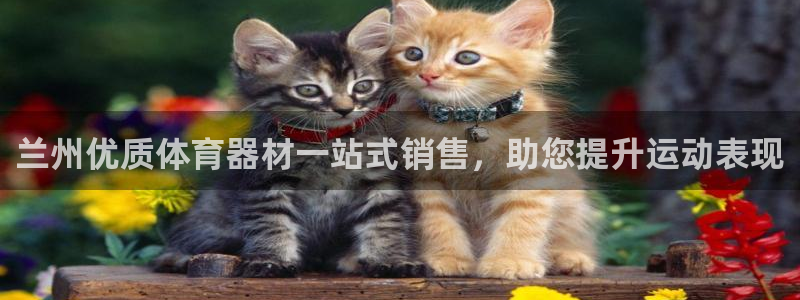 耀世平台注册网址是什么啊：兰州优质体育器材一站式销售