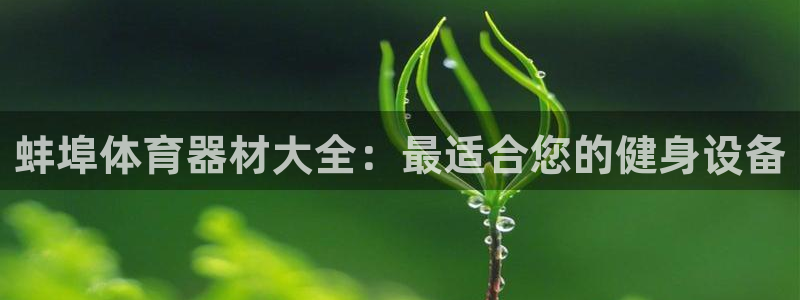 耀世平台主管代理：蚌埠体育器材大全：最适合您的健身设
