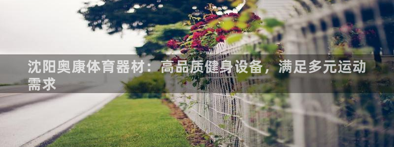 耀世平台总代理是谁：沈阳奥康体育器材：高品质健身设备